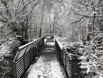 ice