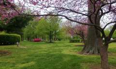 Brown-Park-Spring