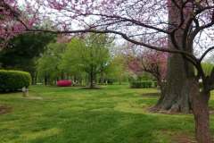 Brown-Park-Spring